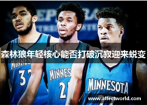 森林狼年轻核心能否打破沉寂迎来蜕变