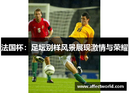 法国杯：足坛别样风景展现激情与荣耀