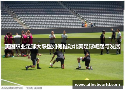 美国职业足球大联盟如何推动北美足球崛起与发展