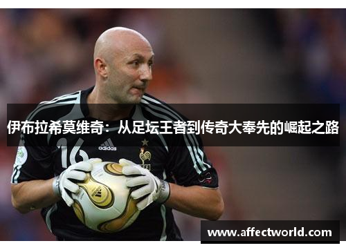 伊布拉希莫维奇：从足坛王者到传奇大奉先的崛起之路