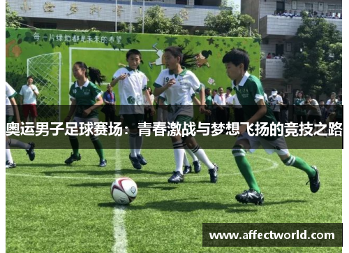 奥运男子足球赛场：青春激战与梦想飞扬的竞技之路