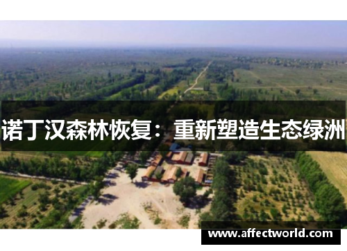 诺丁汉森林恢复：重新塑造生态绿洲